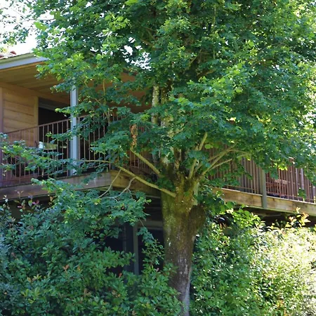 Hotel Les Glycines - & - Teritoria 4*