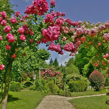Les Glycines - Restaurant&spa Hotel 4*