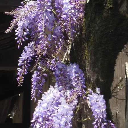 Les Glycines - & - Teritoria Hotel Les Eyzies