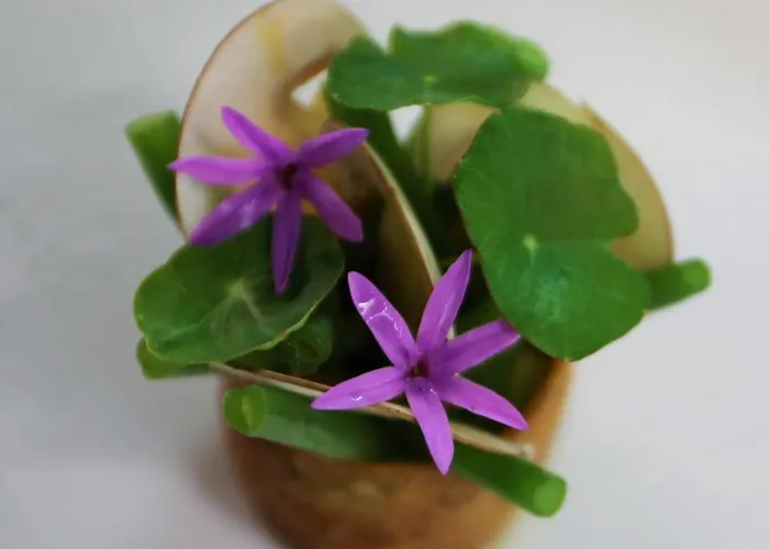 Les Glycines - & - Teritoria 4* Les Eyzies